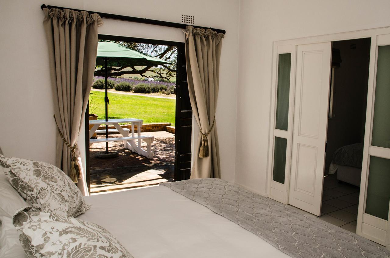 Lavinia Lifestyle Villa Stellenbosch Eksteriør billede