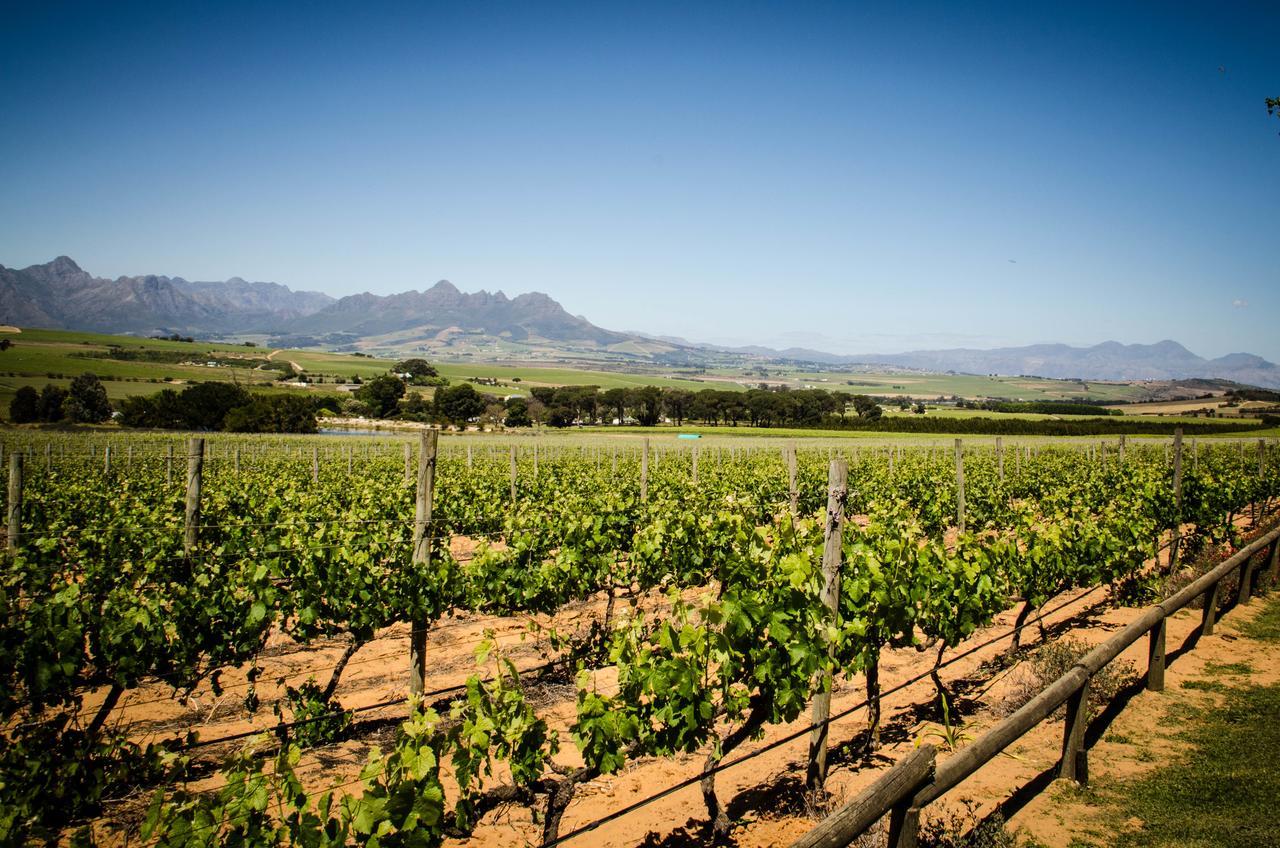 Lavinia Lifestyle Villa Stellenbosch Eksteriør billede