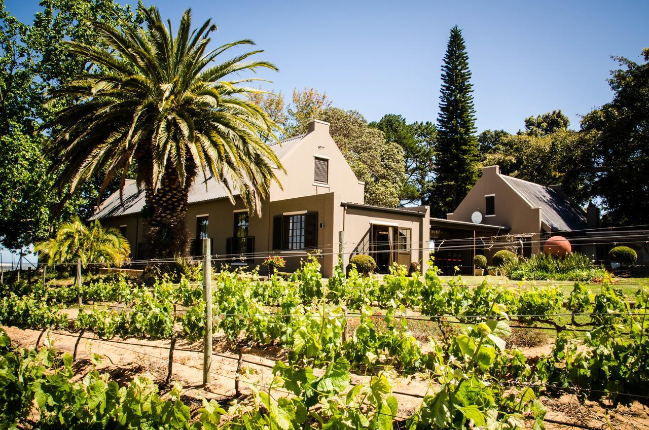 Lavinia Lifestyle Villa Stellenbosch Eksteriør billede