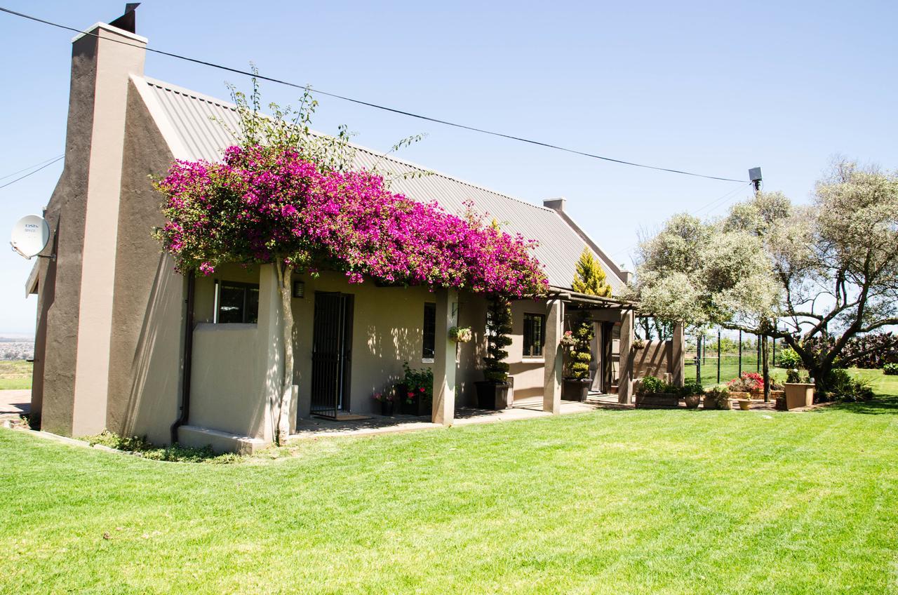 Lavinia Lifestyle Villa Stellenbosch Eksteriør billede