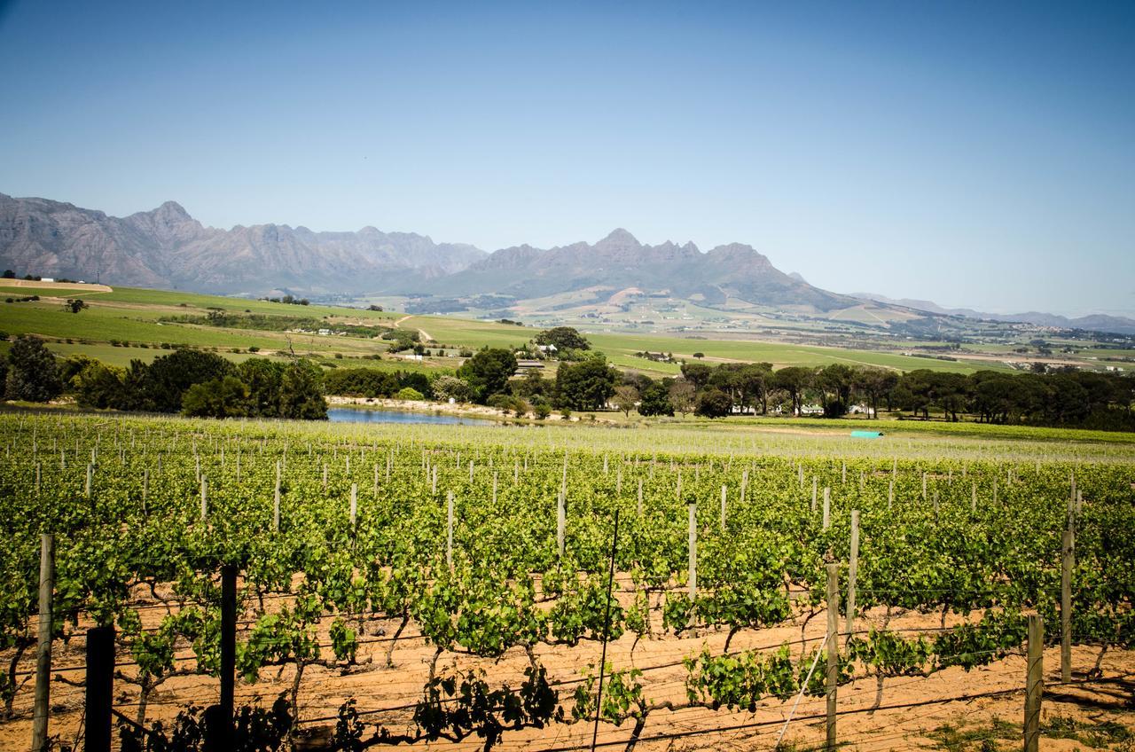Lavinia Lifestyle Villa Stellenbosch Eksteriør billede